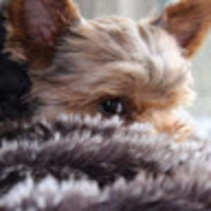 Meet your Posher, Virlie